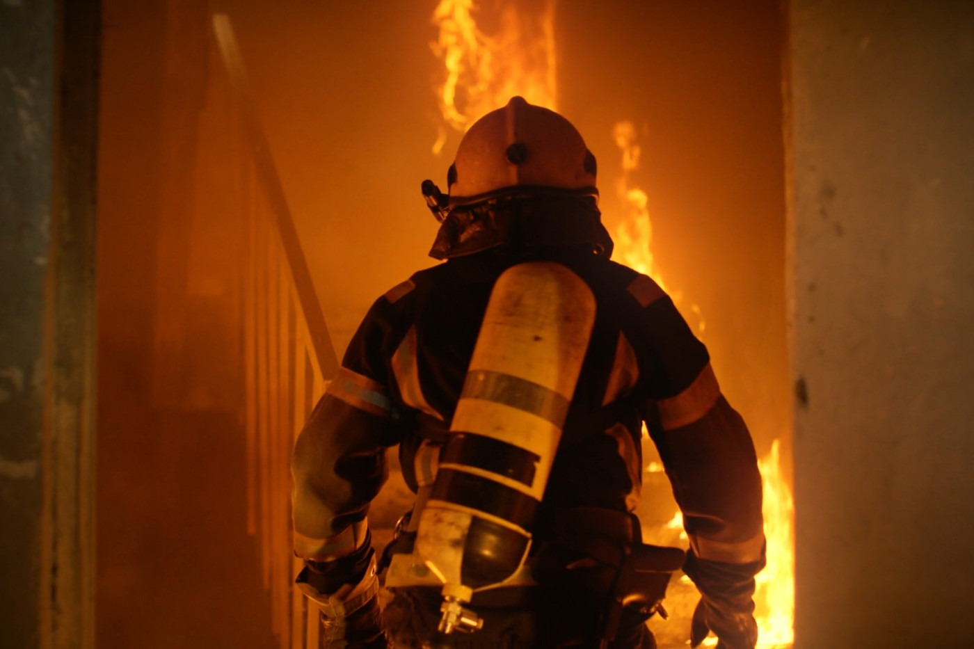 Apex risk assessment specialist